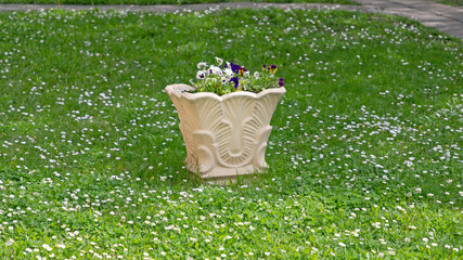 Flower Pot at Grass