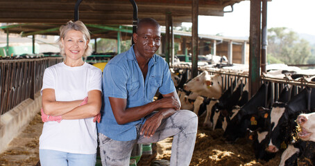 Positive female and male proffesional farmers standing near cow at farm