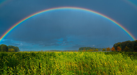 Regenbogen überm Feld.