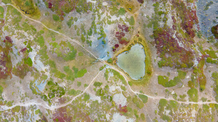 Beautiful aerial view of moss and blueberry plants in September. Heart lake