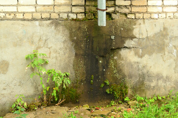 Pipe with old cement wall texture. Down pipe on a wet mossy concrete wall.