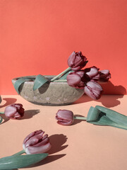 Dark red  tulip flowers in ceramic vase and on the table on coral background. Minimal floral modern concept. Bunch of spring flowers in ceramic pot. Copy space for text.
