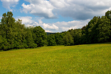 field and blue sky