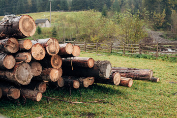 cut firewood in the fall near the house