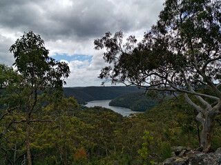Obraz premium Beautiful view of mountain, valley and creek landscape on a cloudy day, Berowra Heights, Berowra Valley National Park, Sydney, New South Wales, Australia 