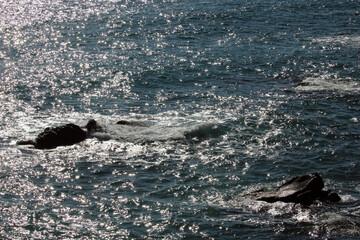 Obraz premium Luccichio e riflessi del mare agitato con scogli