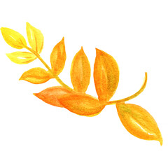 Naklejka na ściany i meble Watercolor autumn leaves,watercolors leaves,fall. watercolor natural orange, object, texture.
