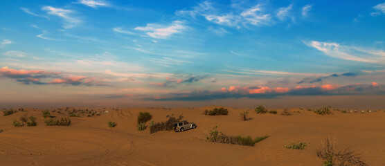 desert safari tire prints in sand.