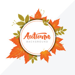 Autumn frame background with colorful leaves