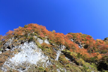 べふ峡渓谷　屏風岩　秋　（高知県）