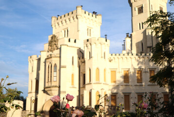 castle with a bed of roses