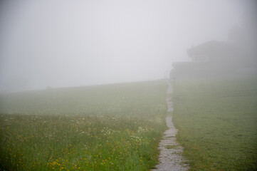A path in the fog across a meadow on a summer morning