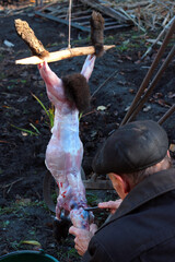 Man flaying and skinning a rabbit