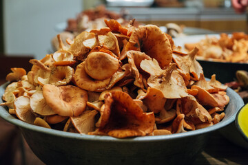 Mushroom harvest. Many Autumn plants. Mushroom preparation