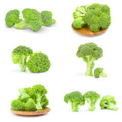 Set of fresh green broccoli