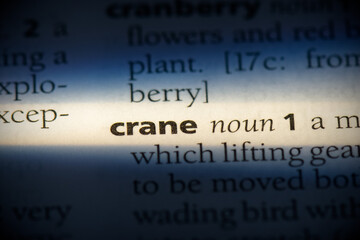 crane