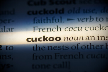 cuckoo