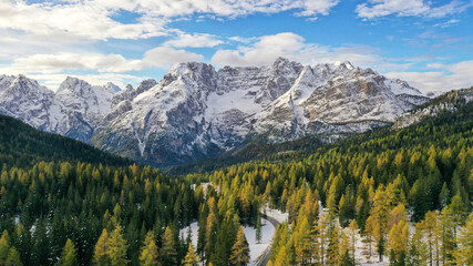 Landscape of early winter with still yellow trees