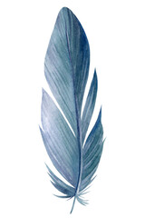 Blue feather pen on white background, watercolor illustration