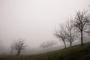 Fototapeta na wymiar Outdoor countryside autumn foggy scenery in the morning 