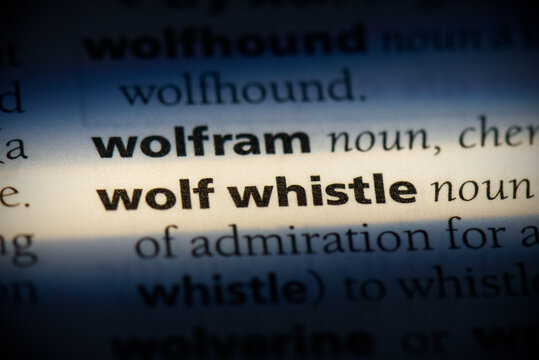 Wolf Whistle Definitions Meanings, 44% OFF