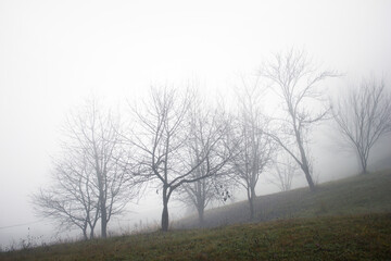 Obraz na płótnie Canvas Outdoor countryside autumn foggy scenery in the morning 