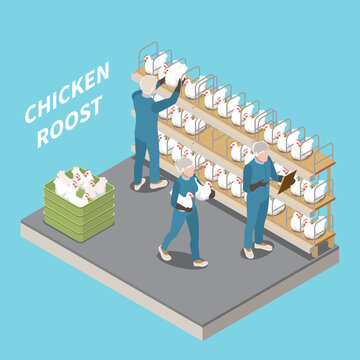 Chicken Roost Isometric Background
