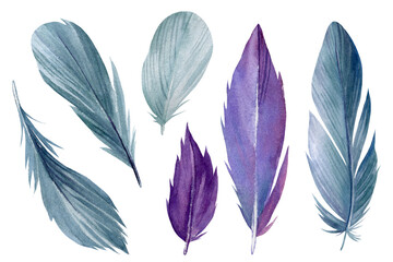 Feathers on white background, Watercolor picture