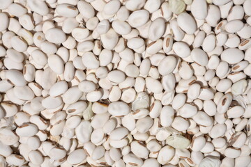 natural white bean closeup background