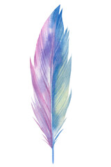 Rainbow feather isolated background, watercolor illustration, hand drawing