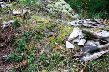 big amount of trash in forest, global environment issues