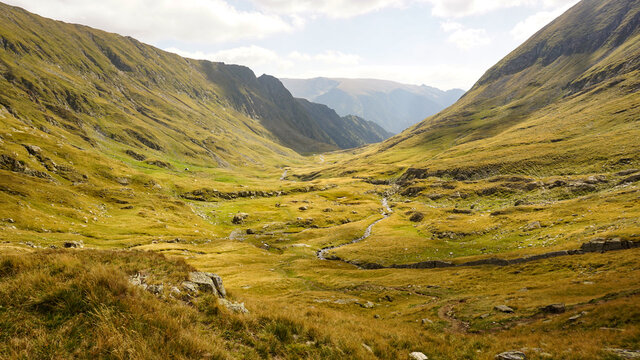 Alpine Valley. Fagarasi