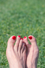 Female bare feet with red nail polish, green grass on background