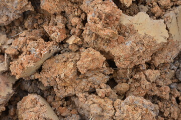 Soil texture background