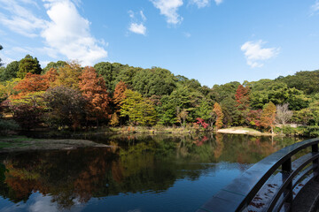 青空と水辺の紅葉