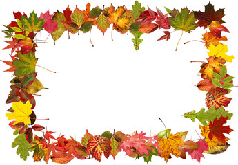 Autumn photo frames Made of autumn leaves