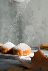 Muffins mit Puderzucker, Bestäuben-Prozess