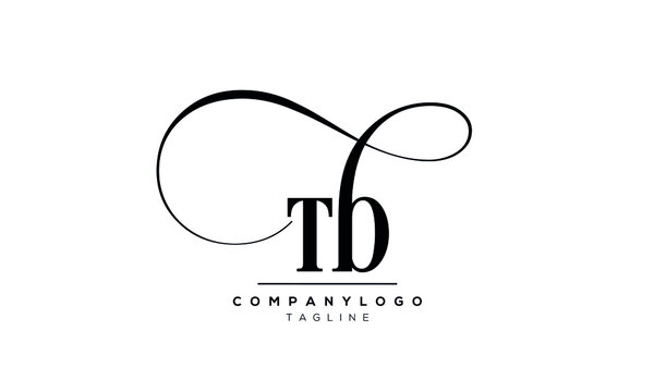 Alphabet letters Initials Monogram logo TB and BT