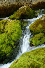 Fresh water stream in the green