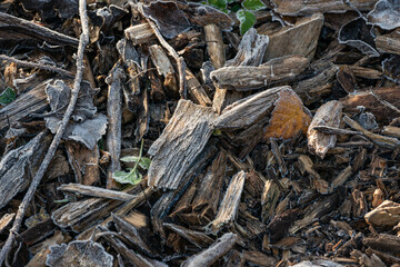 hoarfrost chips