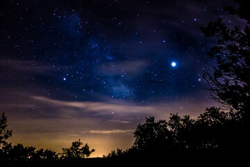 milky way night landscape with planet and tree