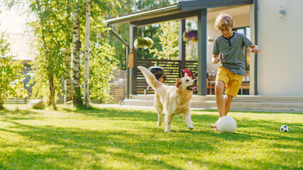 Handsome Young Boy Plays Soccer with Happy Golden Retriever Dog at the Backyard Lawn. He Plays...