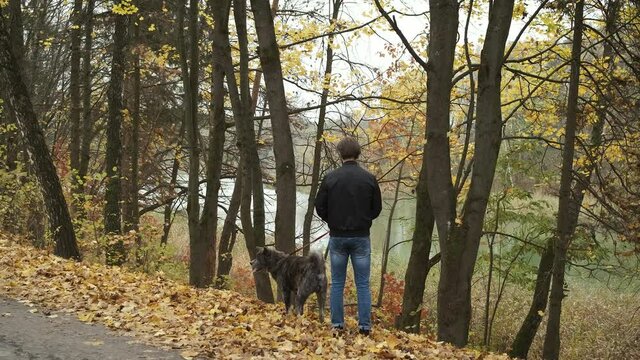 Caucasian man walking a dog in autumn park and looking at the lake. Autumn depression and loneliness