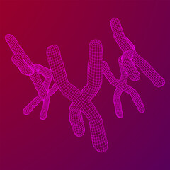 Chromosome scientific medicine education concept.