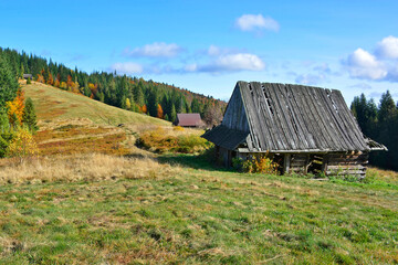 Blurred view of autumn landscape in the mountains. Old wooden huts in mountains meadow. Sunny autumn day.