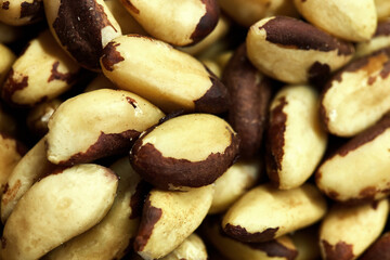 Organic Brazil nut Bertoletia, natural superfood