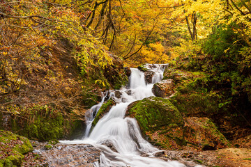 紅葉の滝