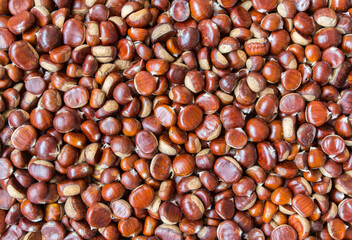 Edible chestnut in full frame as background