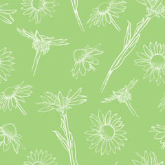 Light green floral seamless pattern. White daisies. Hand drawn vector illustration.
