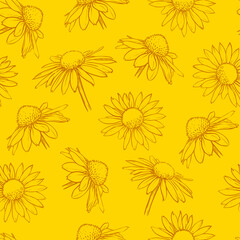 Yellow floral seamless pattern. Hand drawn chamomile vector illustration.